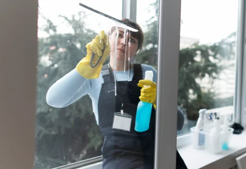 Nettoyage de vitres intérieures et extérieures à Rochetaillée
